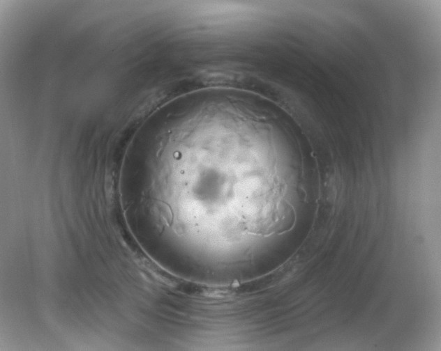 X0000083040753200702021151