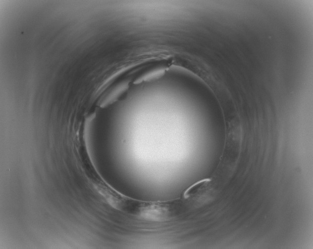 X0000083040754200702021151