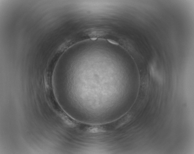 X0000083040755200702021151