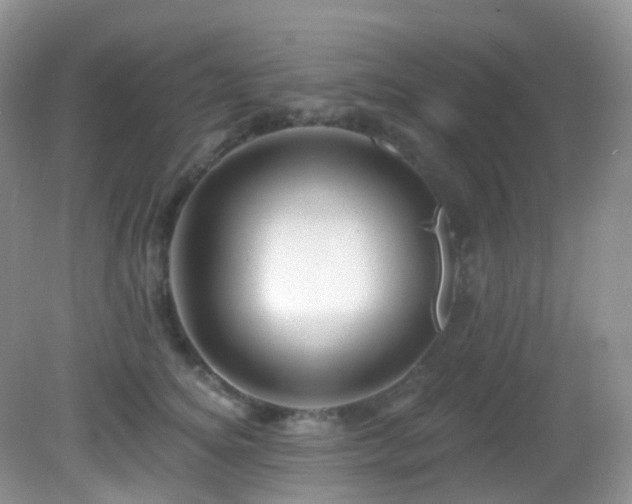 X0000083040756200702021151