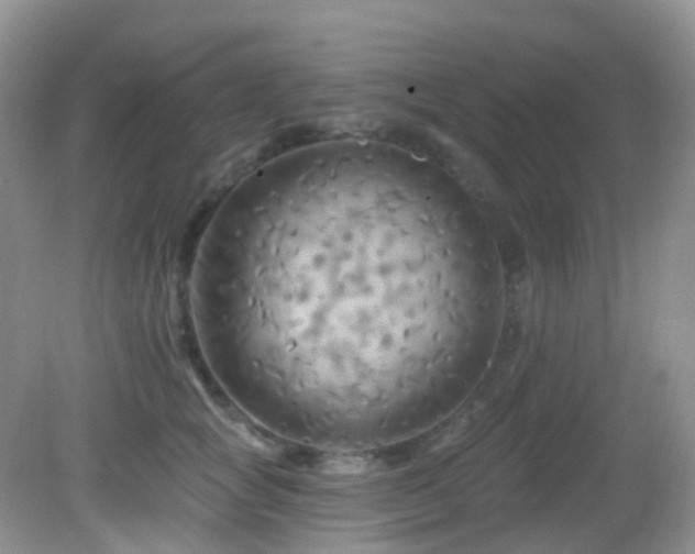 X0000083040757200702021151