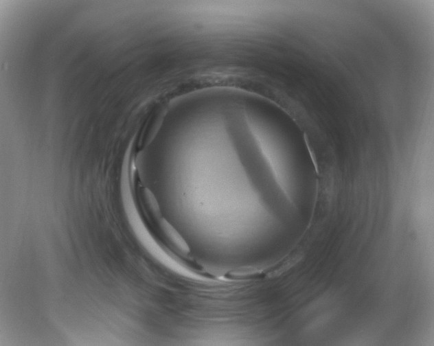 X0000083040758200702021151