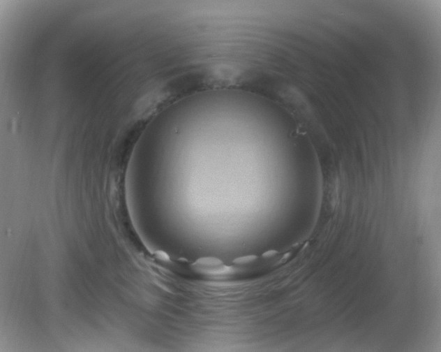 X0000083040759200702021151