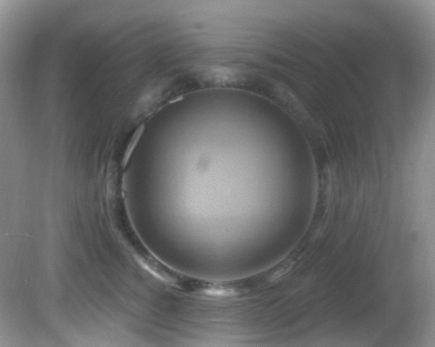 X0000083040760200702021151