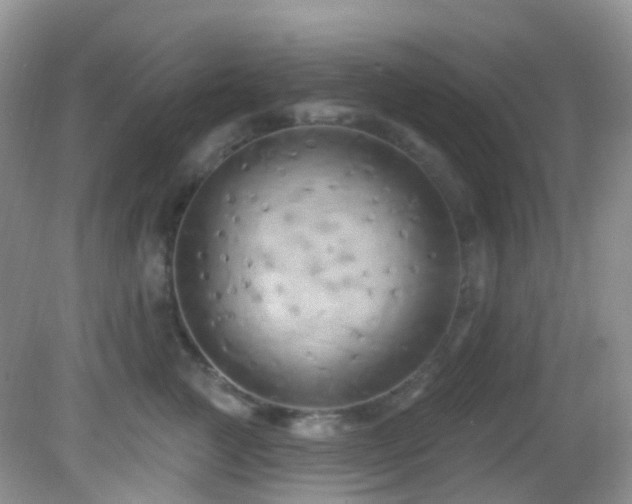 X0000083040761200702021151