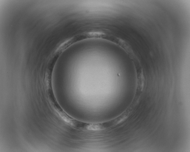 X0000083040762200702021151