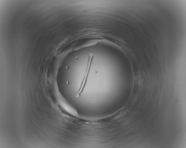 X0000083040763200702021152