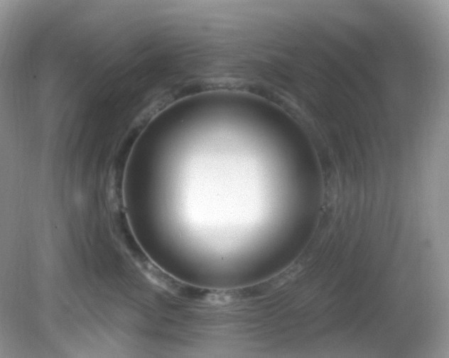 X0000083040764200702021152