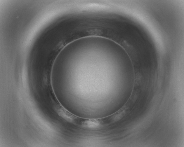 X0000083040765200702021152