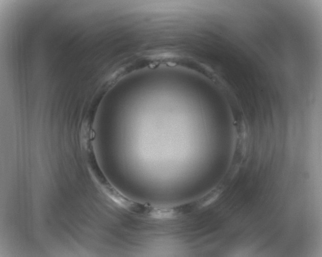 X0000083040767200702021152