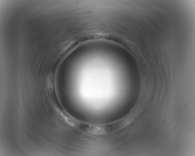 X0000083040768200702021152