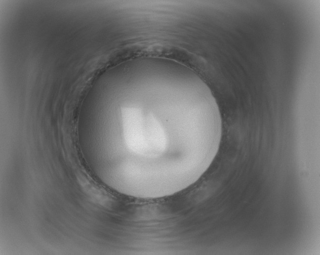 X0000083040769200702021151