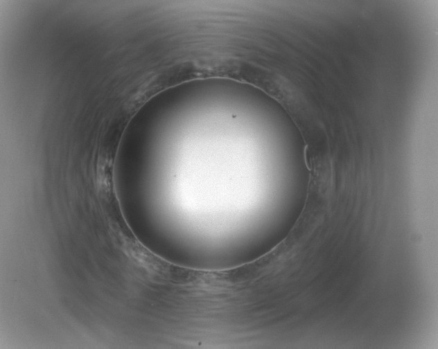 X0000083040770200702021151