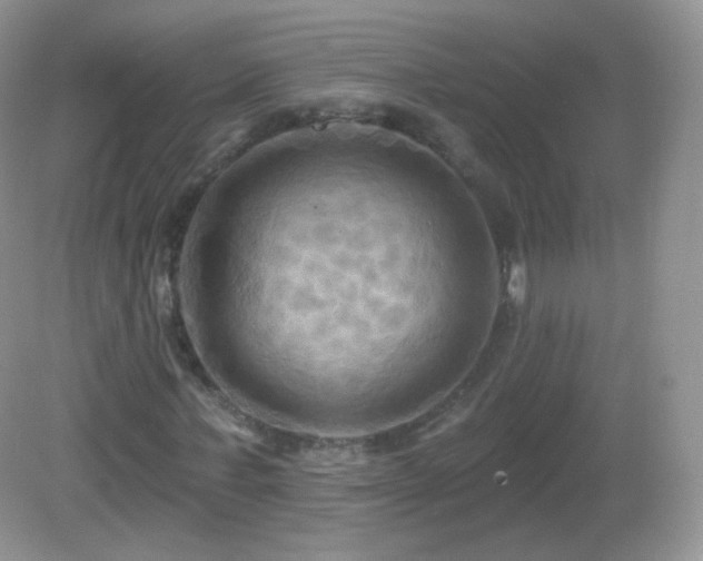 X0000083040771200702021151