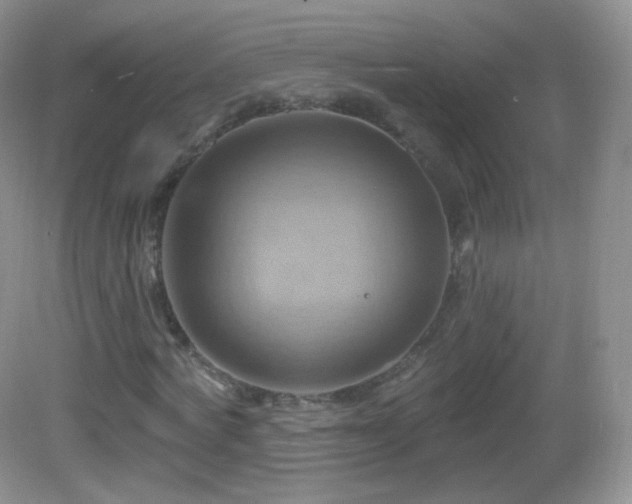 X0000083040772200702021151