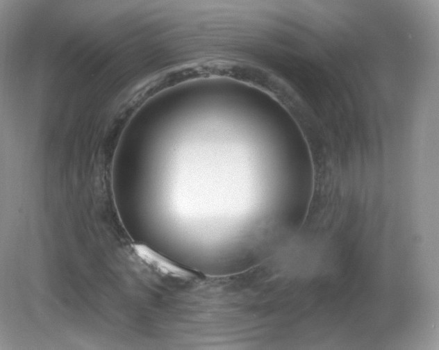 X0000083040773200702021151