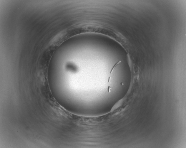 X0000083040774200702021151