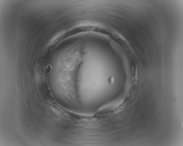 X0000083040775200702021151