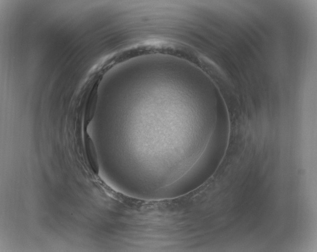 X0000083040776200702021151