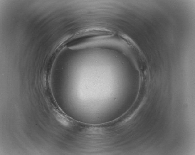 X0000083040777200702021151