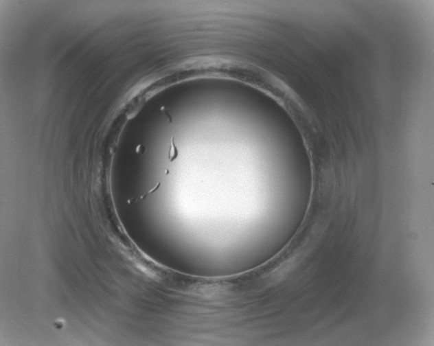 X0000083040778200702021151