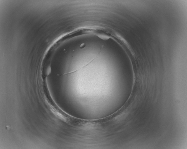 X0000083040779200702021151