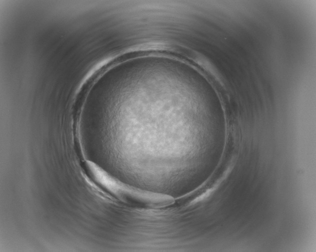 X0000083040781200702021151