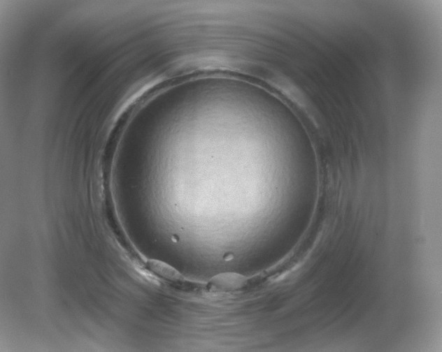 X0000083040782200702021151