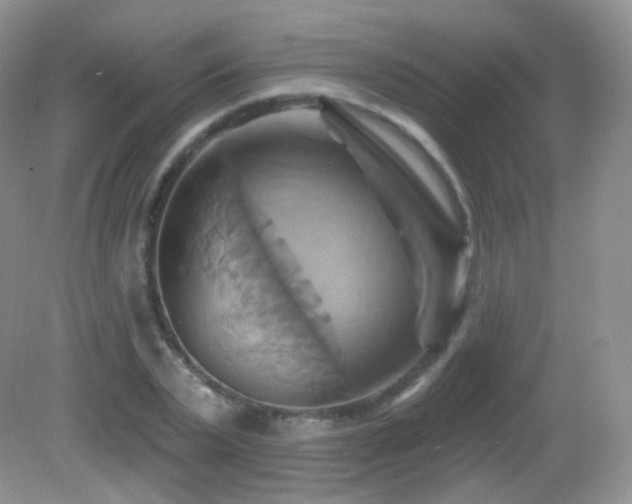 X0000083040783200702021151