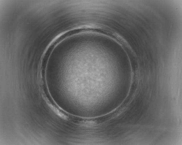 X0000083040784200702021151