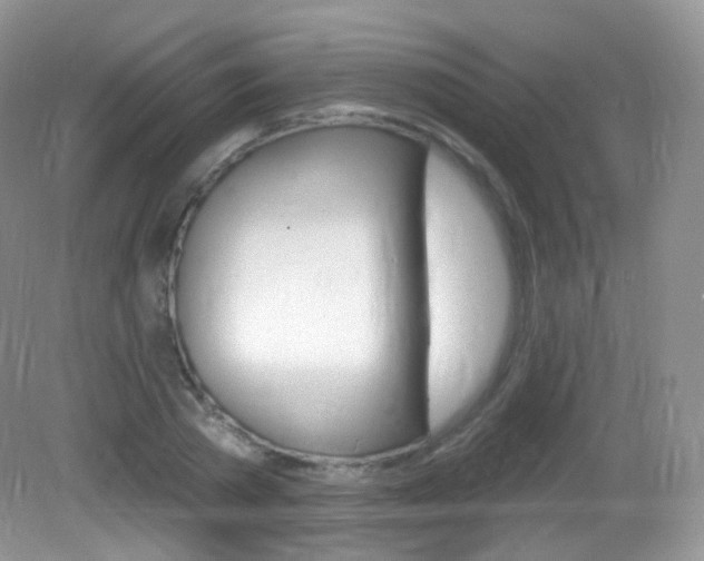 X0000083040785200702021151