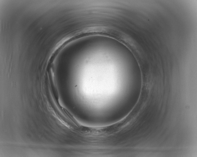 X0000083040786200702021150