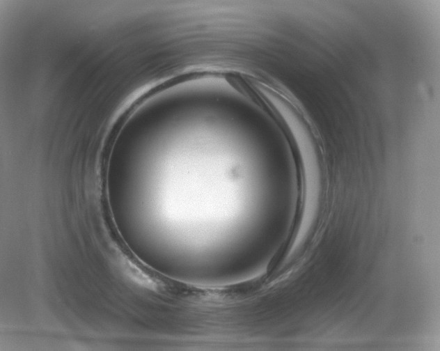 X0000083040787200702021150