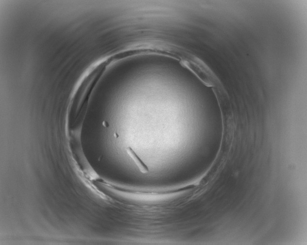 X0000083040788200702021150