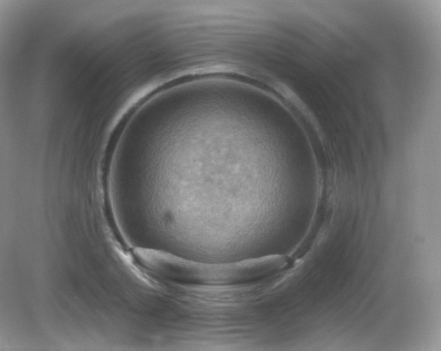 X0000083040789200702021150