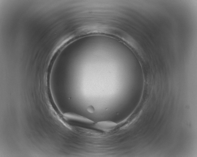 X0000083040790200702021150