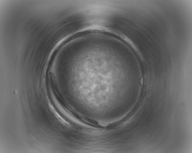 X0000083040791200702021150