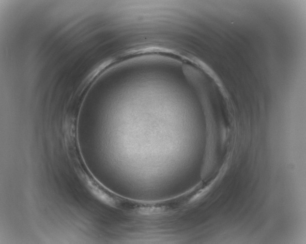 X0000083040793200702021150