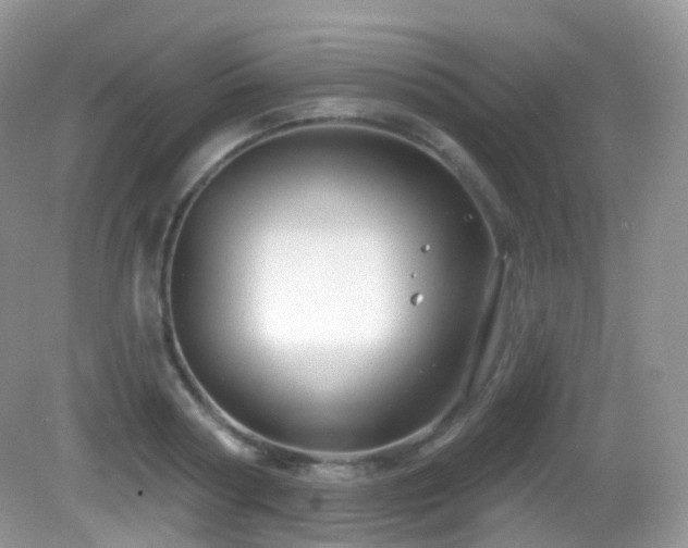 X0000083040794200702021150