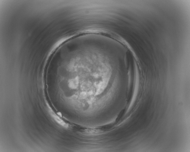 X0000083040795200702021150