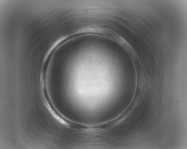 X0000083040796200702021150