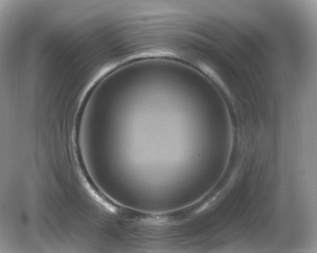 X0000083040797200702021150