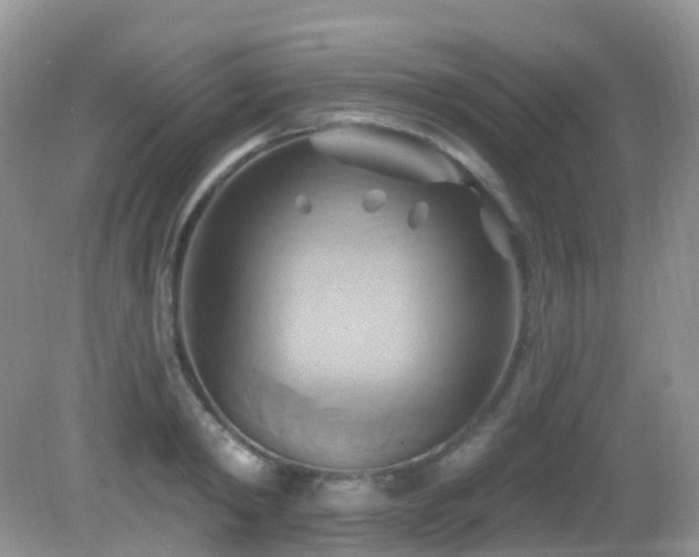 X0000083040798200702021150