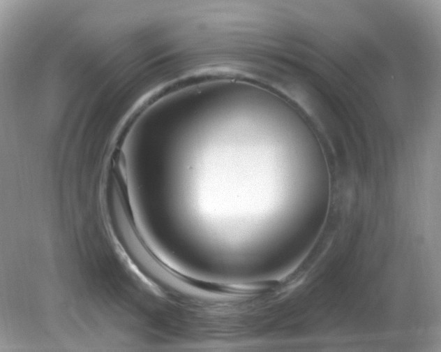 X0000083040799200702021150