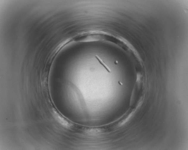 X0000083040801200702021150