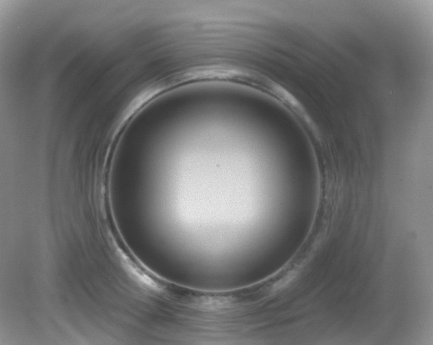 X0000083040802200702021150