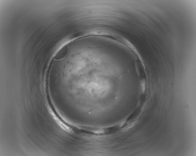 X0000083040803200702021150