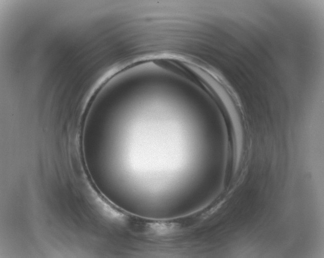 X0000083040805200702021150