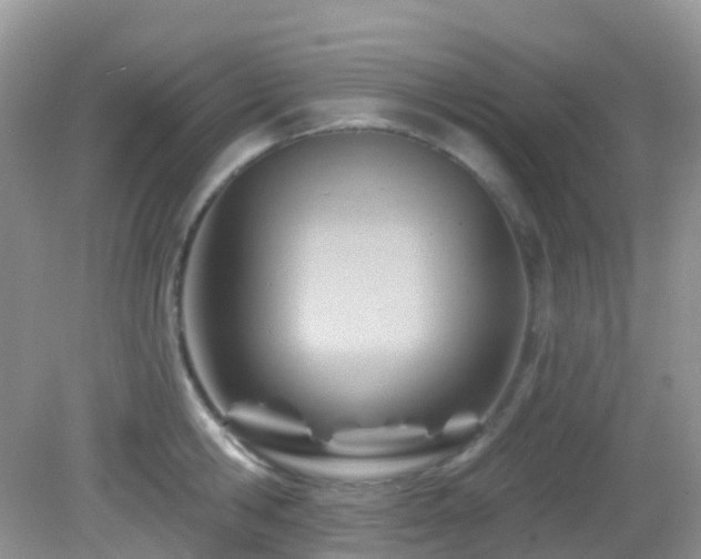 X0000083040806200702021150