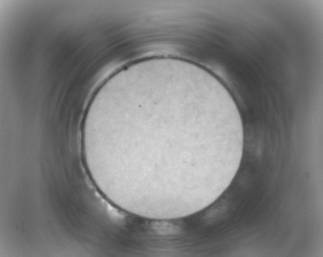 X0000083040807200702021150